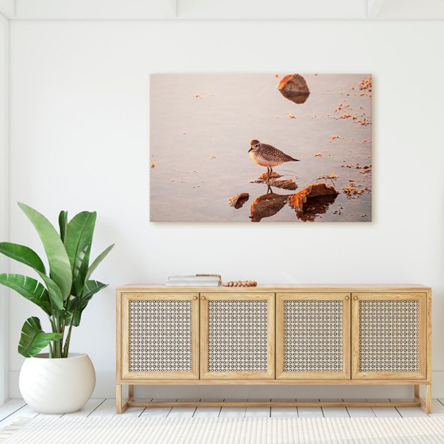 Key West Shorebird Reflection Florida Keys Canvas Print (Creator Uploaded)