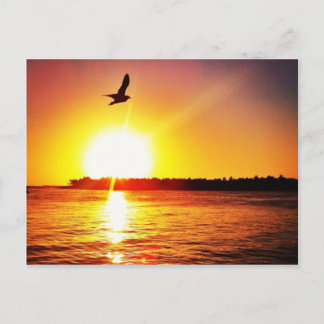 Key West Sunset Postcard