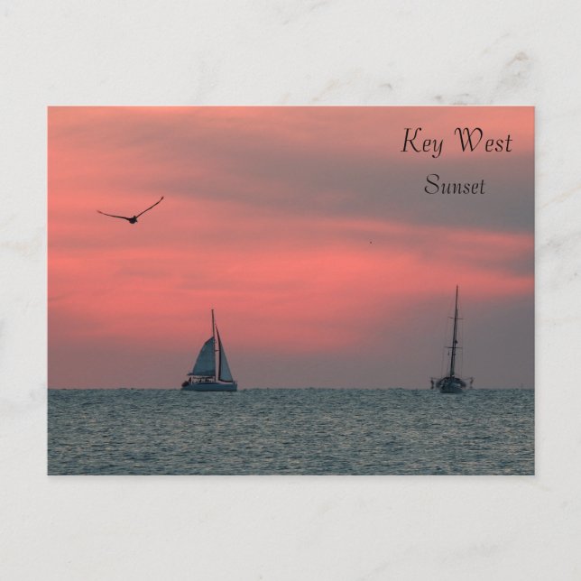 Key West  Sunset Postcard (Front)