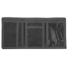 Key West, tropical landscape