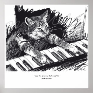 keyboard Cat Drawing Poster
