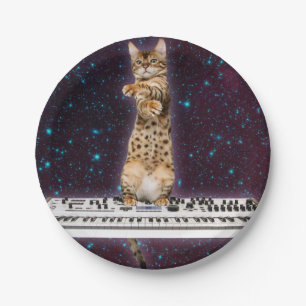 Keyboard cat strikes again paper plate