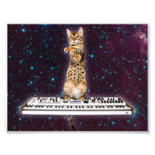 Keyboard cat strikes again photo print
