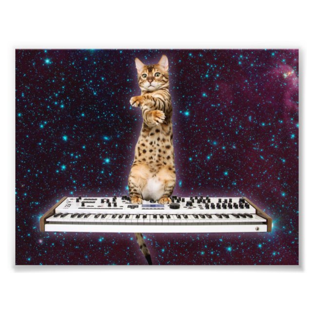 Keyboard cat strikes again photo print (Front)