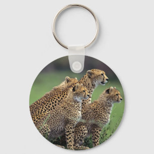 Keychain-Cheetah's Key Ring