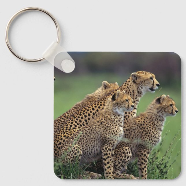 Keychain-Cheetah's Keychain (Front)