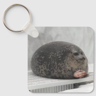 Keychain Chonky Seal Meme