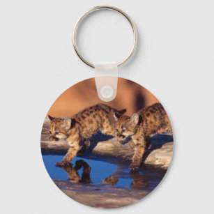 Keychain-Mountain Lion Cubs Key Ring