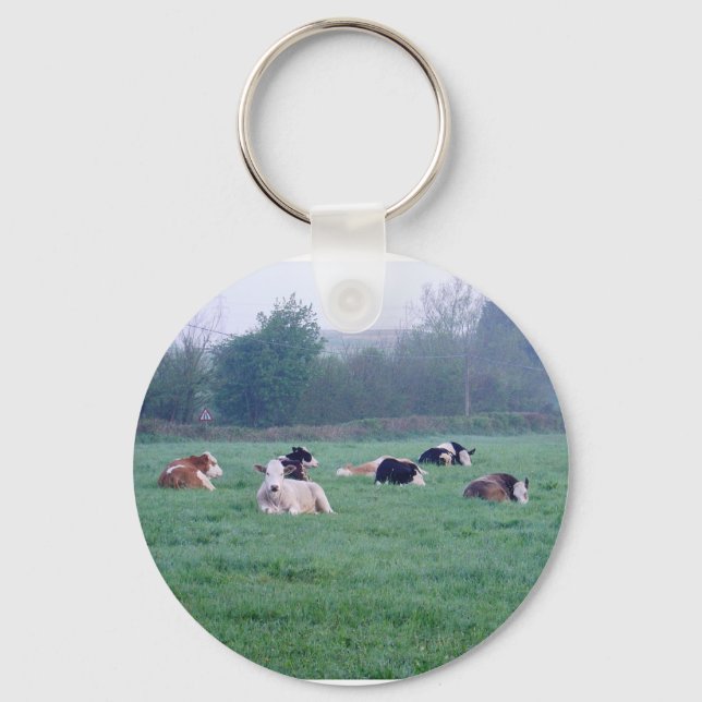 Keychain or Keyring - Cows - In Colour (Front)