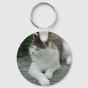 Keychain or Keyring - Maine Coon Cat    Image 1