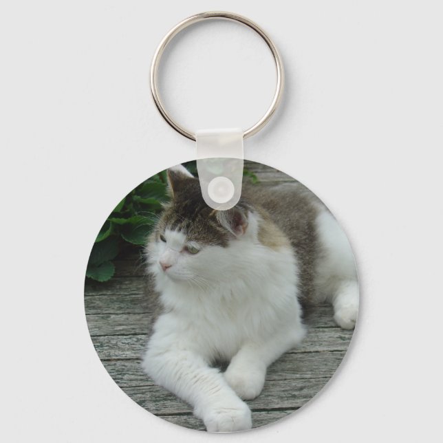 Keychain or Keyring - Maine Coon Cat    Image 1 (Front)