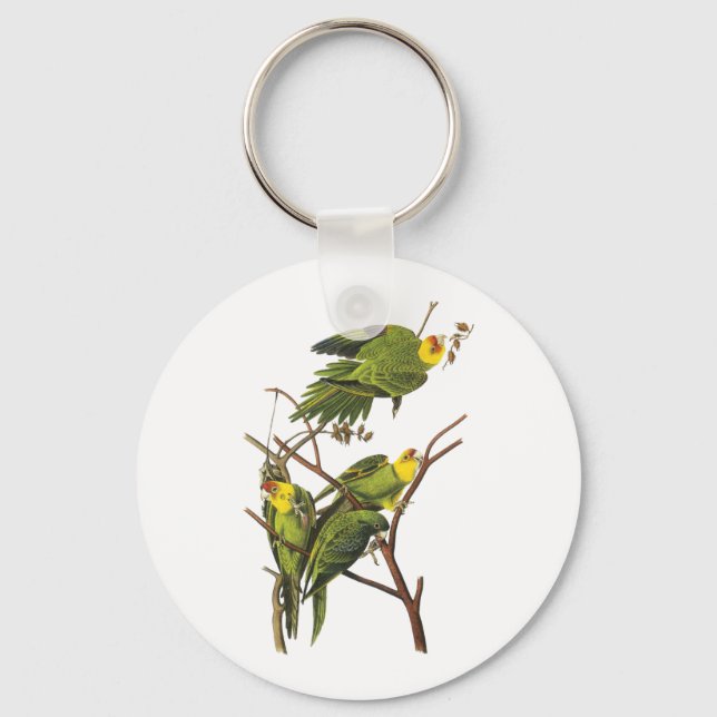 Keychain: Parakeet - by John Audubon Key Ring (Front)