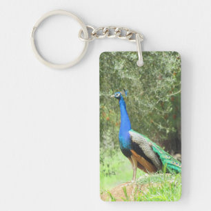 keychain - Peacock