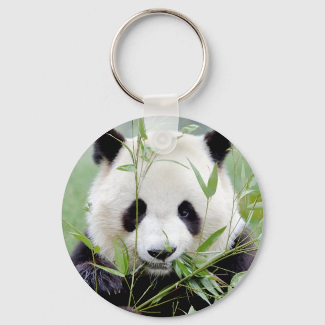 Keychain photo giant panda. Panda geant. (Front)