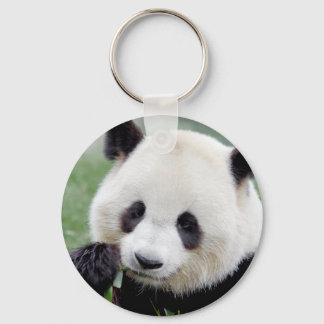 Keychain photo giant panda. Panda geant.