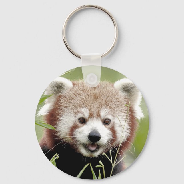 Keychain photo red panda. Panda roux. (Front)