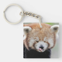 keychain photography red panda.