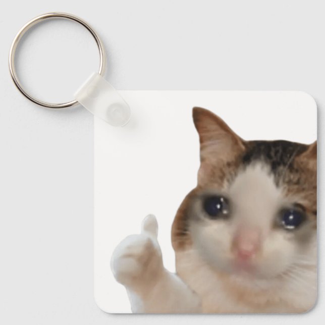 Keychain Thumbs Up Ok Cat Meme (Front)