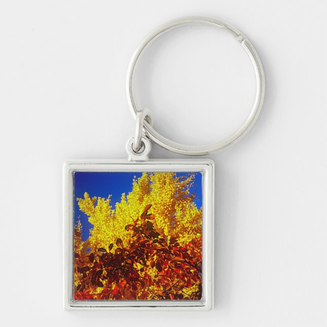 Keychain with Fall photo (Front)