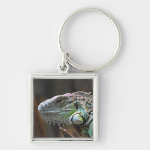 Keychain with head of colourful Iguana lizard