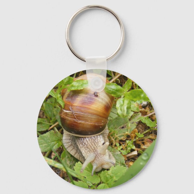 Keychain with snail. (Front)