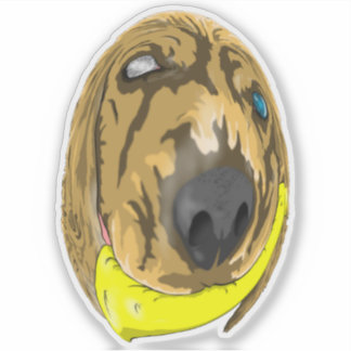 Keys & Banana, the Miniature cocker spaniel 2