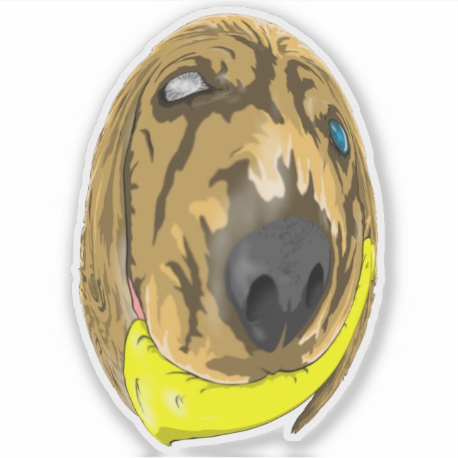 Keys & Banana, the Miniature cocker spaniel 2 (Front)