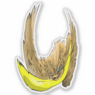 Keys & Banana, the Miniature cocker spaniel 4