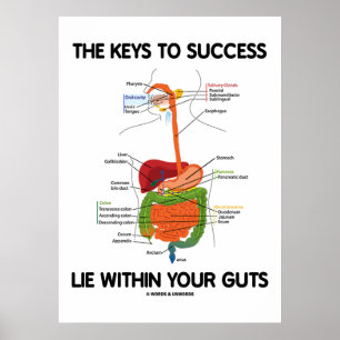 Keys To Success Lie Within Your Guts (Digestive) Poster