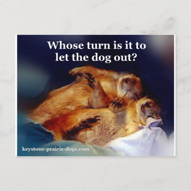 Keystone Prairie Dogs let the dog out meme Postcard (Front)