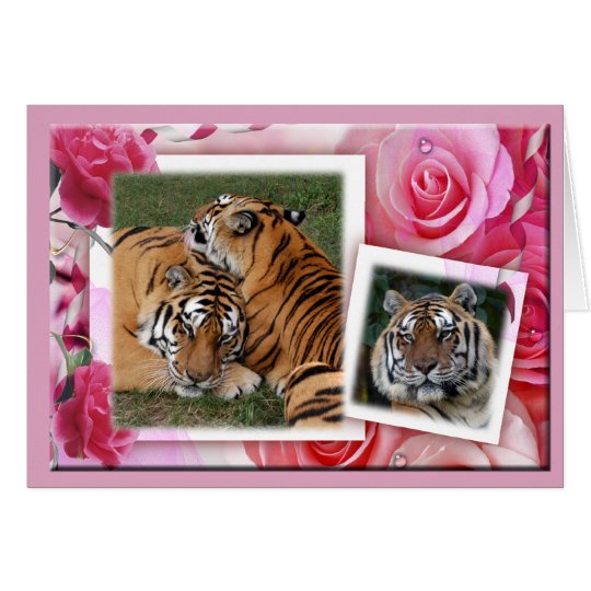 Khan-00100-65x45 Card
