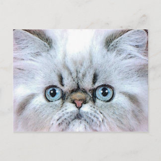 khat postcard