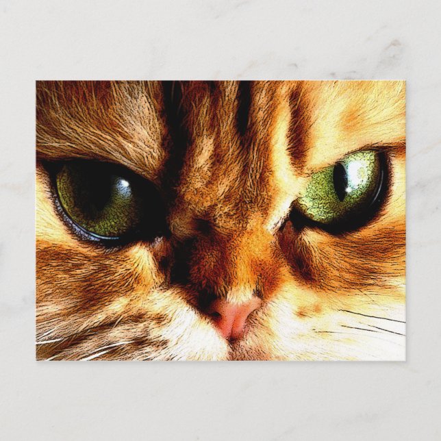 khat postcard (Front)