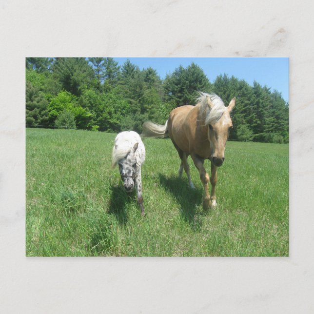 Khrysta and Cash Postcard (Front)