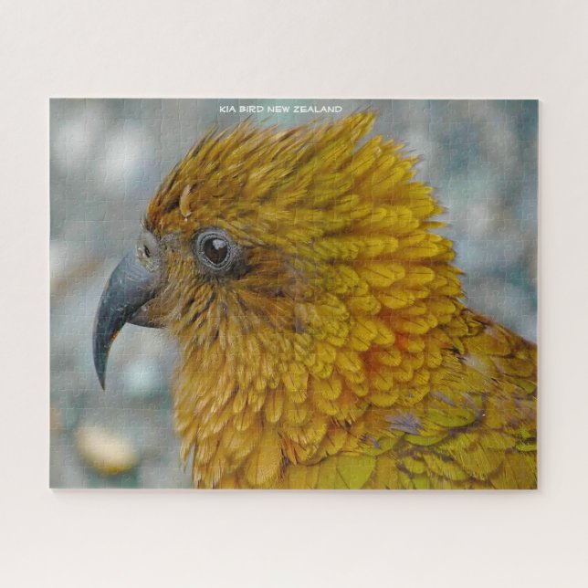 Kia Bird New Zealand Jigsaw Puzzle (Horizontal)