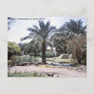 Kibbutz Community in Israel Postcard
