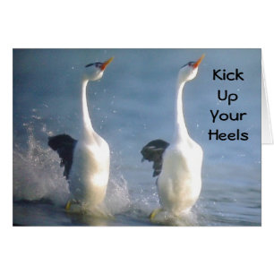 KICK UP YOUR HEALS" GEESE STYLE FOR "BIRTHDAY"