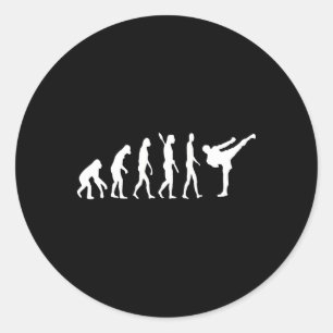 Kickboxing Evolution Karate Arti Taekwondo Judo Classic Round Sticker