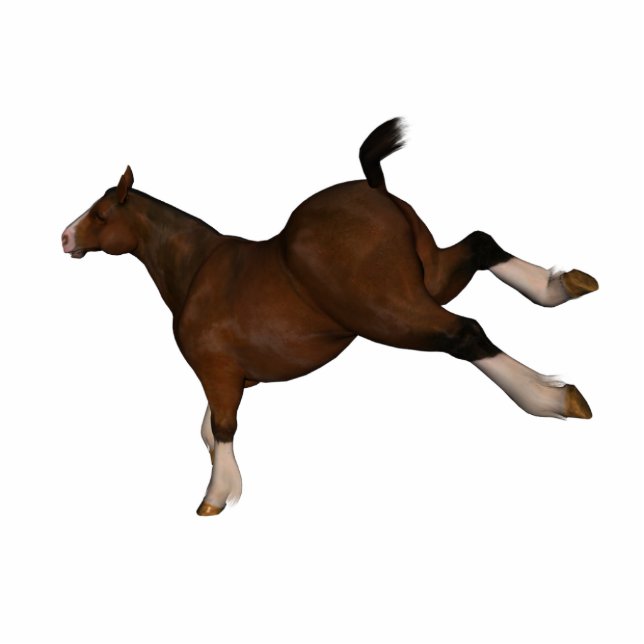 kicking horse standing photo sculpture (Front)