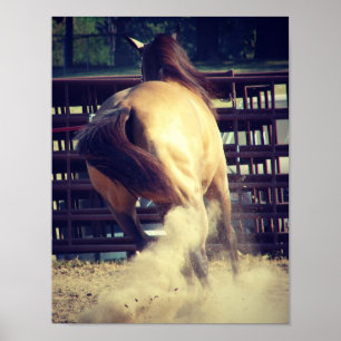 Kicking Up Dust Poster