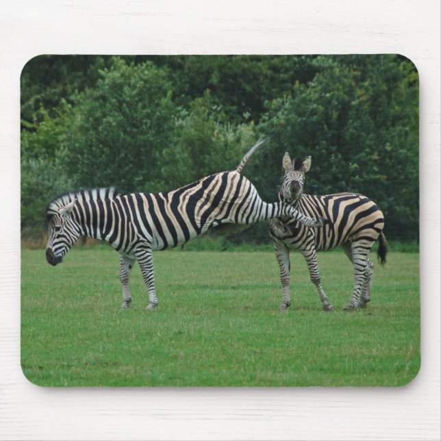Kicking zebra mousepad (Front)