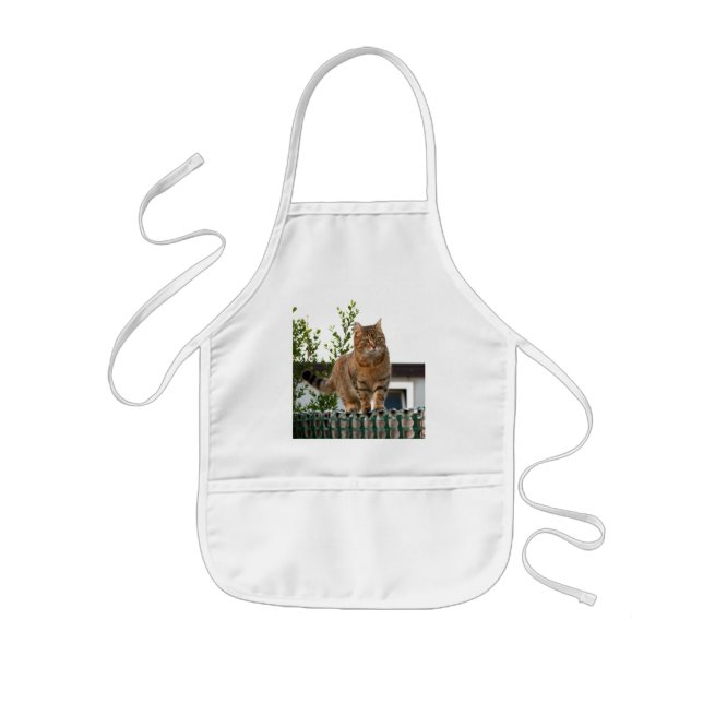 kid apron (Front)