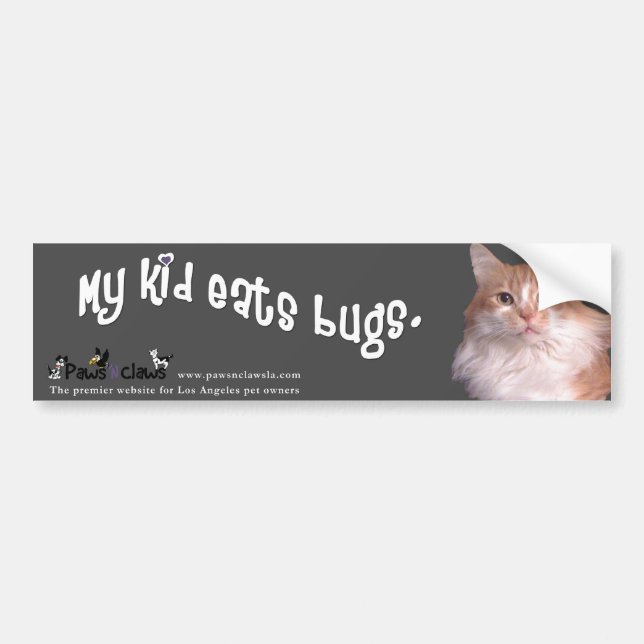 "Kid Eats Bugs" Cat Colour Bumper Sticker (Front)