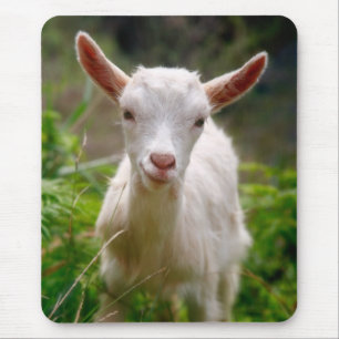 Kid Goat Mouse Mat