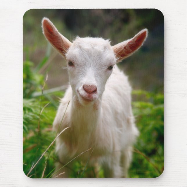 Kid Goat Mouse Mat (Front)