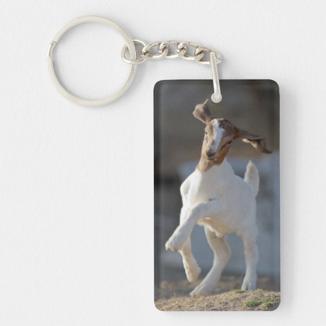 Kid Goat Playing Key Ring (Front)