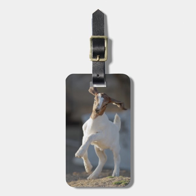 Kid Goat Playing Luggage Tag (Front Vertical)