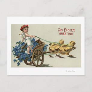 Kid in Toga on Chariot Pulled by Chicks Postcard
