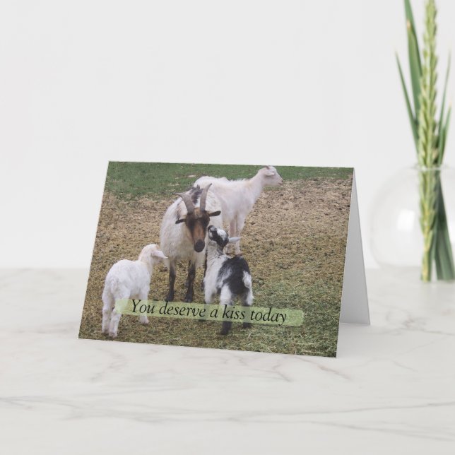 Kid kissing goat card (Front)