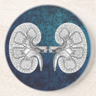 KIDNEY 2 DRAWING COASTER